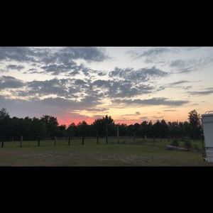 Meet your Posher, Baily